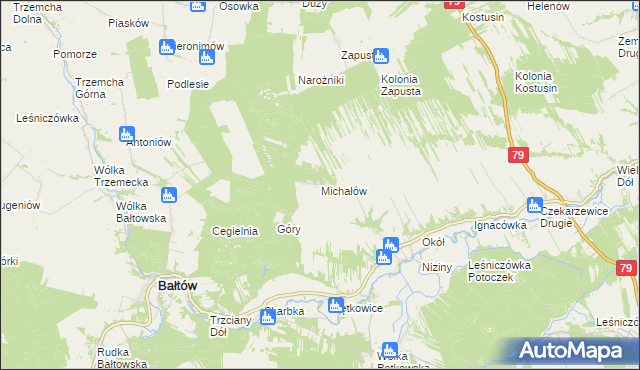 mapa Michałów gmina Bałtów, Michałów gmina Bałtów na mapie Targeo