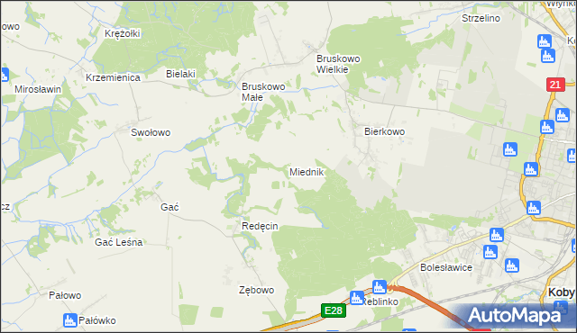 mapa Miednik gmina Słupsk, Miednik gmina Słupsk na mapie Targeo