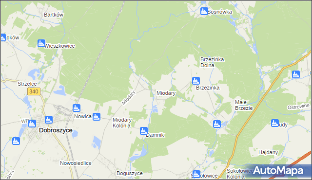 mapa Miodary gmina Dobroszyce, Miodary gmina Dobroszyce na mapie Targeo