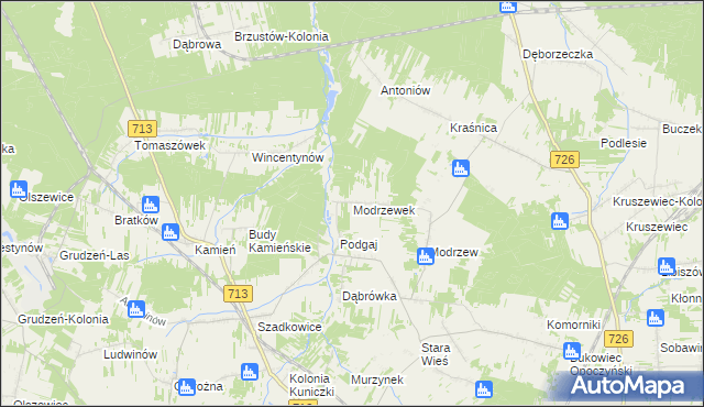 mapa Modrzewek gmina Opoczno, Modrzewek gmina Opoczno na mapie Targeo