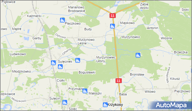 mapa Murzynowiec Leśny, Murzynowiec Leśny na mapie Targeo