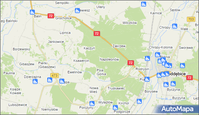 mapa Napoleonów gmina Poddębice, Napoleonów gmina Poddębice na mapie Targeo