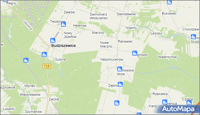 mapa Nepomucenów gmina Budziszewice, Nepomucenów gmina Budziszewice na mapie Targeo