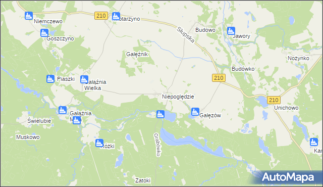 mapa Niepoględzie, Niepoględzie na mapie Targeo