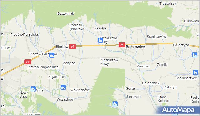 mapa Nieskurzów Nowy, Nieskurzów Nowy na mapie Targeo