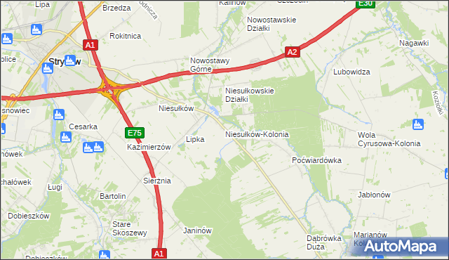 mapa Niesułków-Kolonia, Niesułków-Kolonia na mapie Targeo