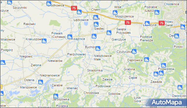 mapa Nieszkowice Małe, Nieszkowice Małe na mapie Targeo