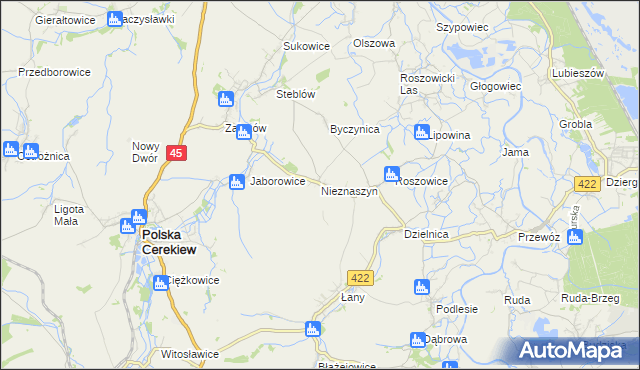 mapa Nieznaszyn, Nieznaszyn na mapie Targeo