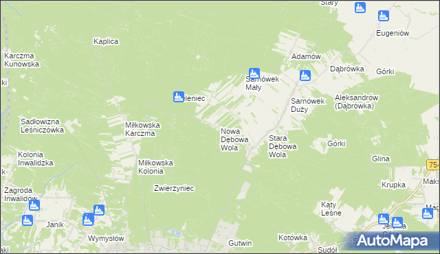 mapa Nowa Dębowa Wola, Nowa Dębowa Wola na mapie Targeo