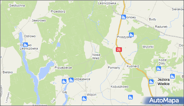 mapa Nowa Wieś gmina Jeziora Wielkie, Nowa Wieś gmina Jeziora Wielkie na mapie Targeo