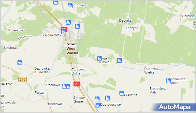 mapa Nowa Wioska gmina Nowa Wieś Wielka, Nowa Wioska gmina Nowa Wieś Wielka na mapie Targeo