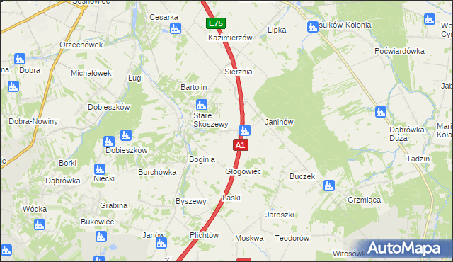 mapa Nowe Skoszewy, Nowe Skoszewy na mapie Targeo