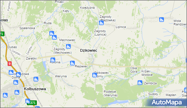 mapa Nowy Dzikowiec, Nowy Dzikowiec na mapie Targeo