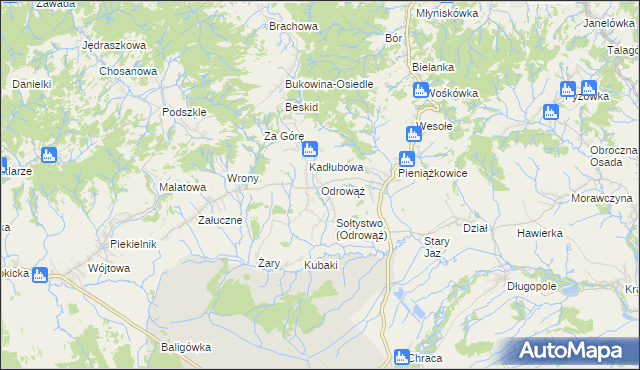 mapa Odrowąż gmina Czarny Dunajec, Odrowąż gmina Czarny Dunajec na mapie Targeo