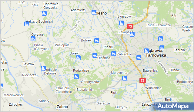 mapa Oleśnica gmina Olesno, Oleśnica gmina Olesno na mapie Targeo