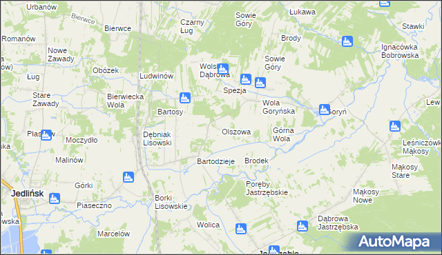 mapa Olszowa gmina Jastrzębia, Olszowa gmina Jastrzębia na mapie Targeo