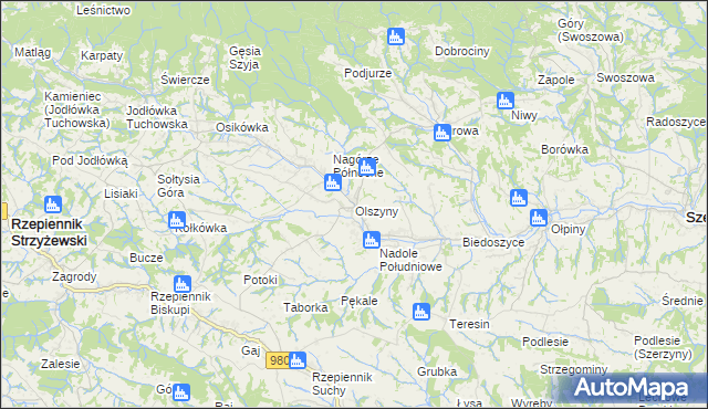 mapa Olszyny gmina Rzepiennik Strzyżewski, Olszyny gmina Rzepiennik Strzyżewski na mapie Targeo