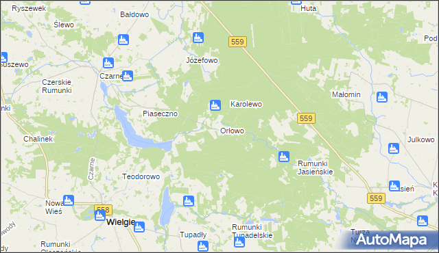 mapa Orłowo gmina Wielgie, Orłowo gmina Wielgie na mapie Targeo