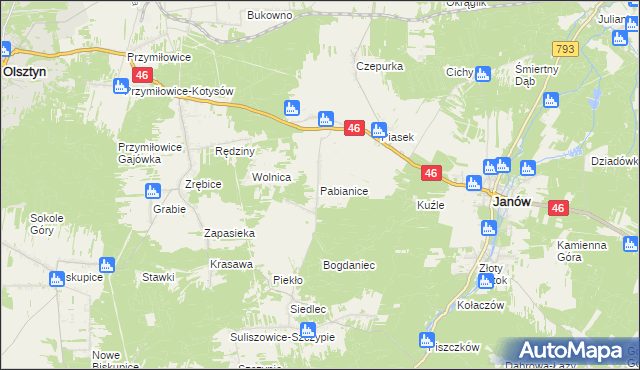 mapa Pabianice gmina Janów, Pabianice gmina Janów na mapie Targeo