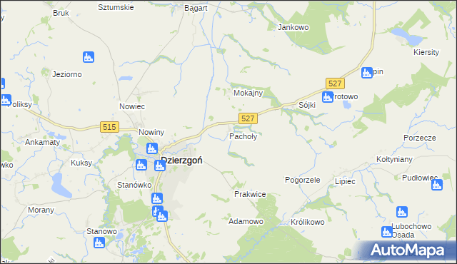 mapa Pachoły gmina Dzierzgoń, Pachoły gmina Dzierzgoń na mapie Targeo