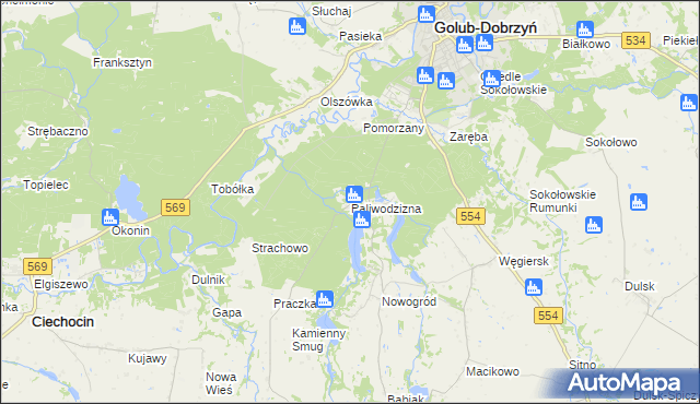 mapa Paliwodzizna, Paliwodzizna na mapie Targeo