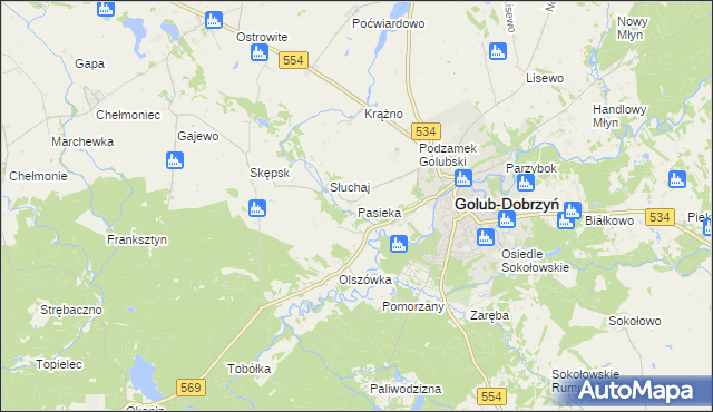 mapa Pasieka gmina Golub-Dobrzyń, Pasieka gmina Golub-Dobrzyń na mapie Targeo