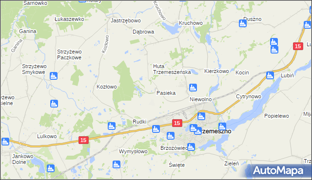 mapa Pasieka gmina Trzemeszno, Pasieka gmina Trzemeszno na mapie Targeo