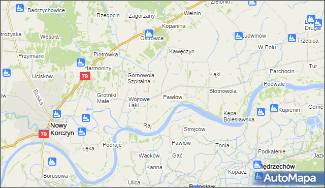 mapa Pawłów gmina Nowy Korczyn, Pawłów gmina Nowy Korczyn na mapie Targeo