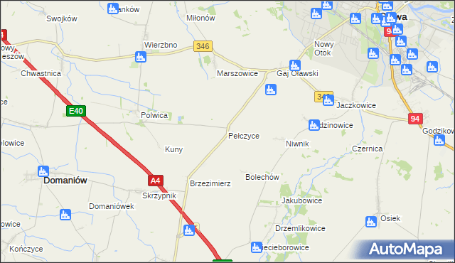 mapa Pełczyce gmina Domaniów, Pełczyce gmina Domaniów na mapie Targeo