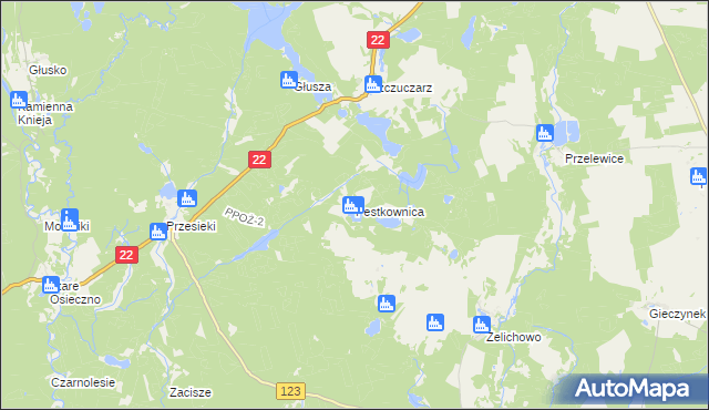 mapa Pestkownica, Pestkownica na mapie Targeo