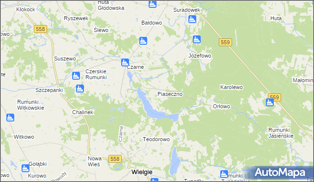 mapa Piaseczno gmina Wielgie, Piaseczno gmina Wielgie na mapie Targeo