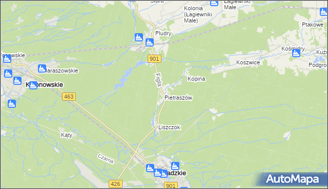 mapa Pietraszów, Pietraszów na mapie Targeo