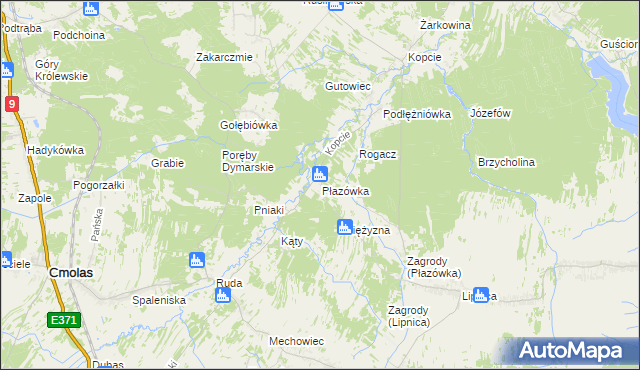 mapa Płazówka gmina Dzikowiec, Płazówka gmina Dzikowiec na mapie Targeo