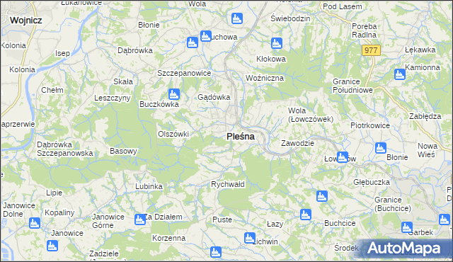 mapa Pleśna powiat tarnowski, Pleśna powiat tarnowski na mapie Targeo