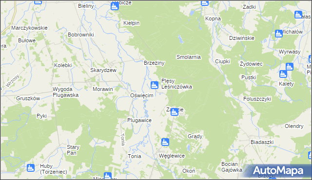 mapa Plęsy gmina Galewice, Plęsy gmina Galewice na mapie Targeo