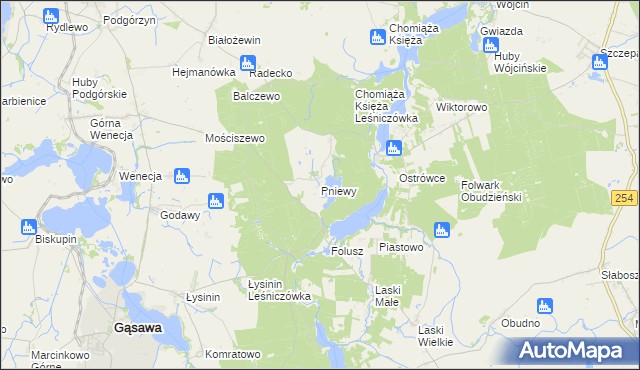 mapa Pniewy gmina Gąsawa, Pniewy gmina Gąsawa na mapie Targeo