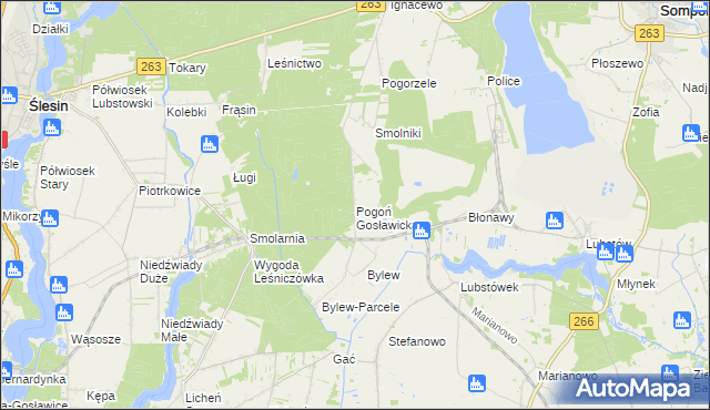 mapa Pogoń Gosławicka, Pogoń Gosławicka na mapie Targeo