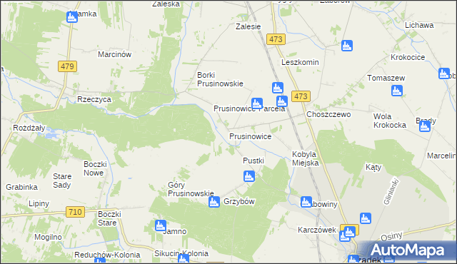 mapa Prusinowice gmina Szadek, Prusinowice gmina Szadek na mapie Targeo