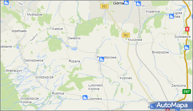 mapa Przedborowa, Przedborowa na mapie Targeo