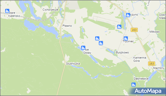 mapa Psie Głowy, Psie Głowy na mapie Targeo