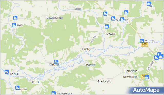 mapa Puchły, Puchły na mapie Targeo