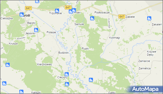 mapa Pupki gmina Turośl, Pupki gmina Turośl na mapie Targeo