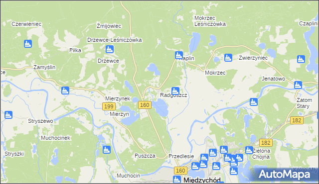 mapa Radgoszcz gmina Międzychód, Radgoszcz gmina Międzychód na mapie Targeo