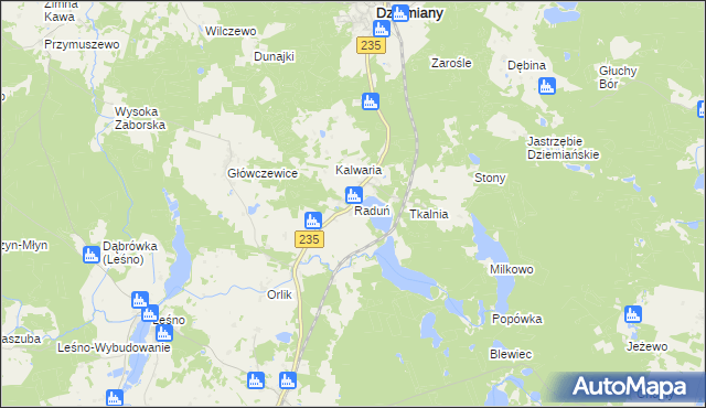 mapa Raduń gmina Dziemiany, Raduń gmina Dziemiany na mapie Targeo