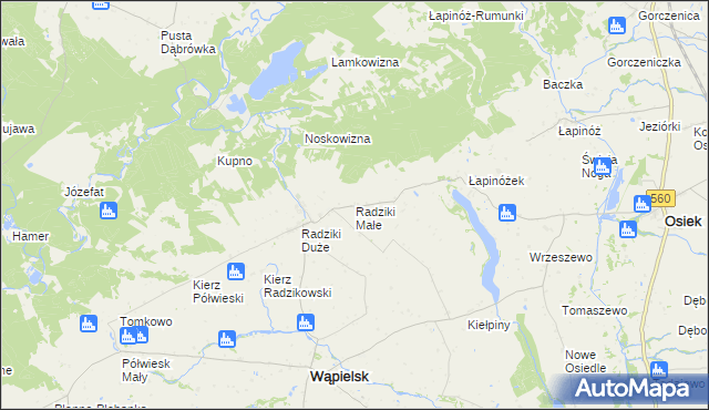 mapa Radziki Małe, Radziki Małe na mapie Targeo