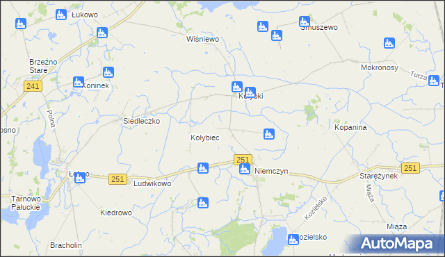 mapa Rakowo gmina Damasławek, Rakowo gmina Damasławek na mapie Targeo