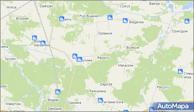 mapa Rędziny gmina Szczekociny, Rędziny gmina Szczekociny na mapie Targeo