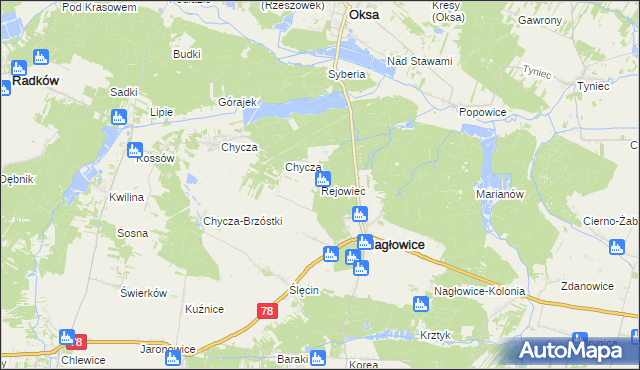 mapa Rejowiec gmina Nagłowice, Rejowiec gmina Nagłowice na mapie Targeo