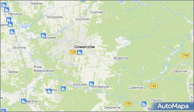 mapa Rogówek gmina Gowarczów, Rogówek gmina Gowarczów na mapie Targeo