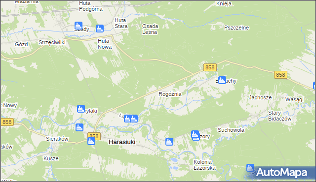 mapa Rogóźnia gmina Harasiuki, Rogóźnia gmina Harasiuki na mapie Targeo